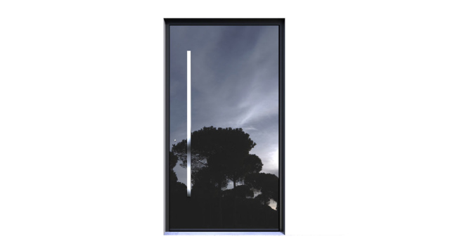 Pivot Entrance Door Omaha